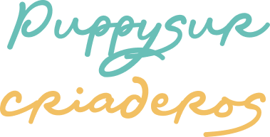 Nombre de la empresa